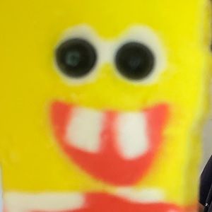 Meet your Posher, Hannah walters